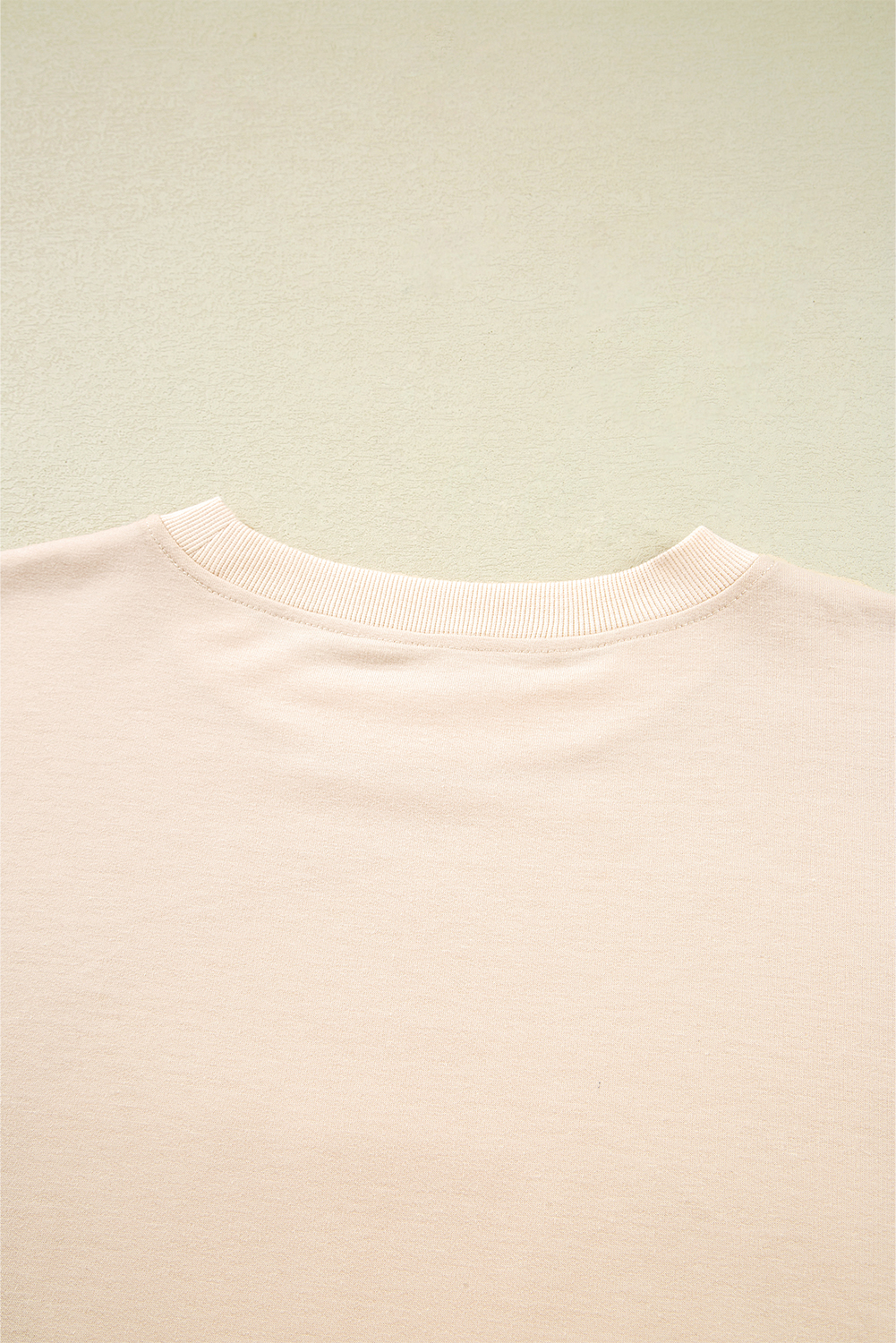 Beige Raw Edge Flower Patch Drop Shoulder Casual Top