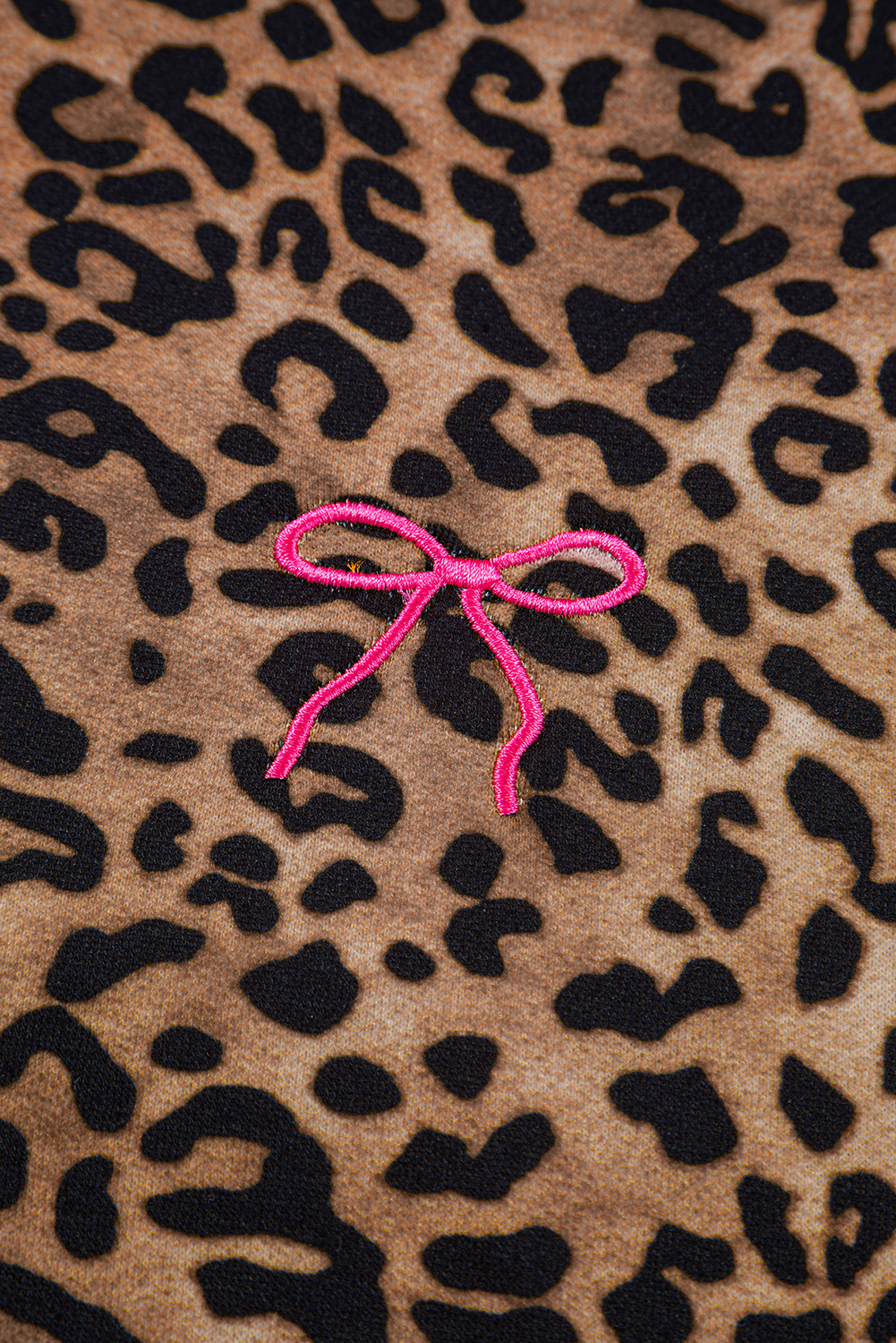 Coffee Leopard Print Contrast Trim Long Sleeve Top and Pants Set