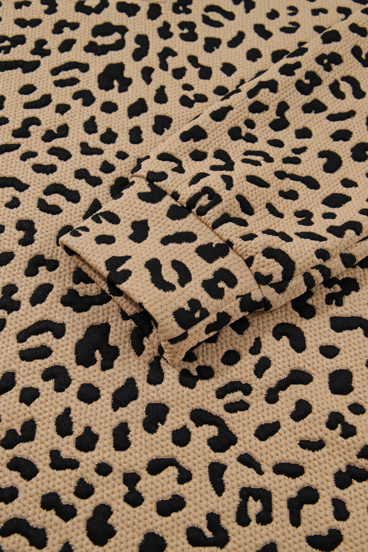 Parchment Leopard Polo Collar V Neck Pullover Top