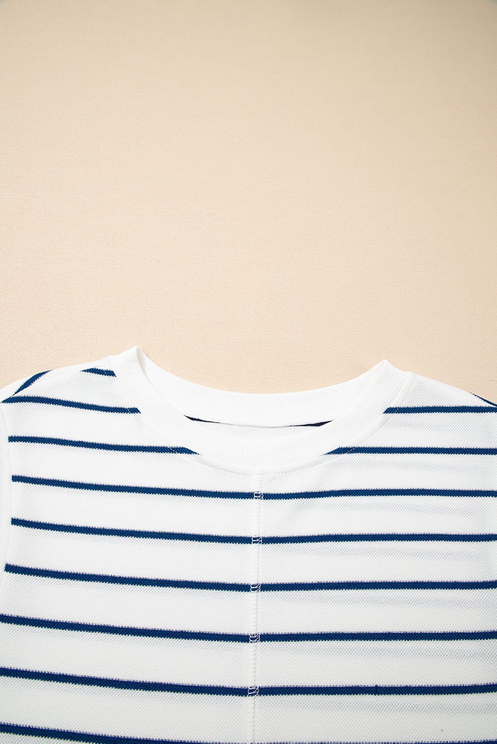 Sail Blue Casual Wide Leg 2pcs Pants Set